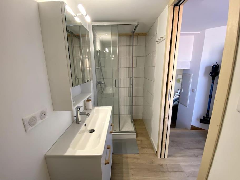 Apartament Chaleureux T3 Avec Terrasse/ Proche Valence Saint-Péray Zewnętrze zdjęcie