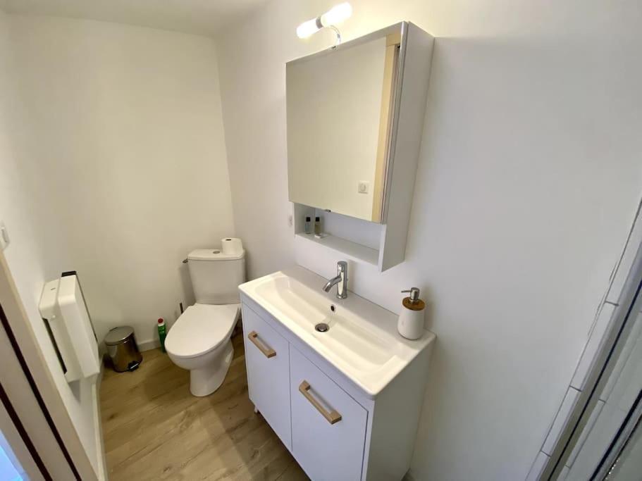 Apartament Chaleureux T3 Avec Terrasse/ Proche Valence Saint-Péray Zewnętrze zdjęcie